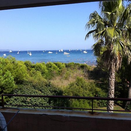 T2 Vue Mer 50M De La Plage A Giens Hyères المظهر الخارجي الصورة