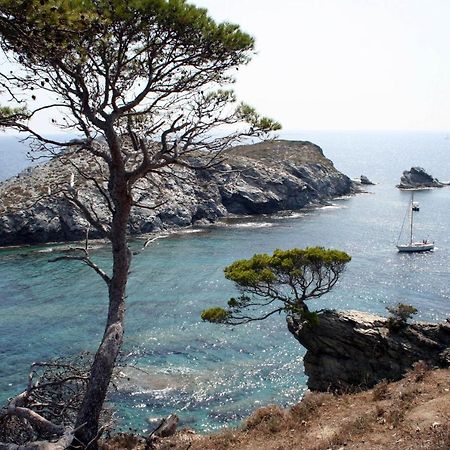 T2 Vue Mer 50M De La Plage A Giens Hyères المظهر الخارجي الصورة